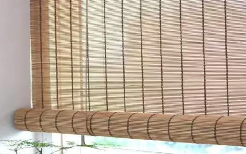 Bamboo Chick